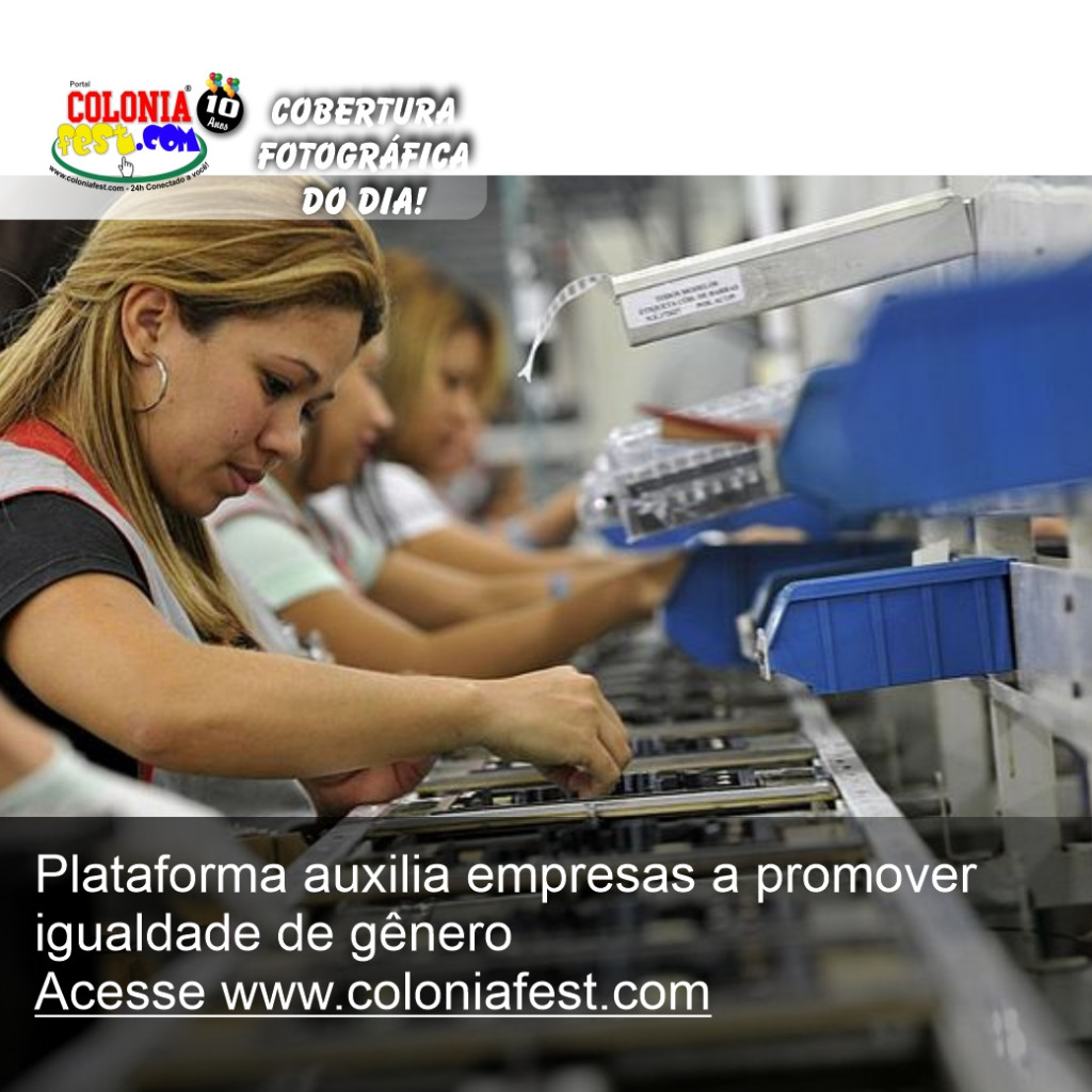 COLONIA NOTICIA 6